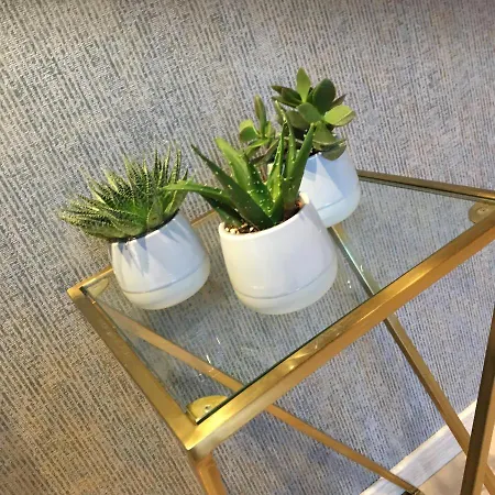 Urban Nest Maison d'hôtes 3*