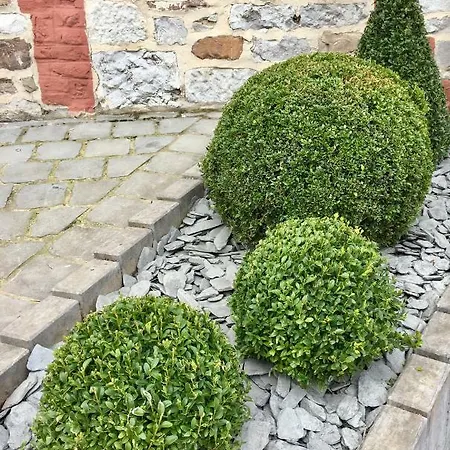 Urban Nest Pensionat 3*